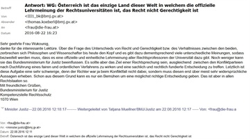 Wutwähler machen mehr als 80% der Wähler und wählten van der Bellen und Hofer für mehr Gerechtigkeit